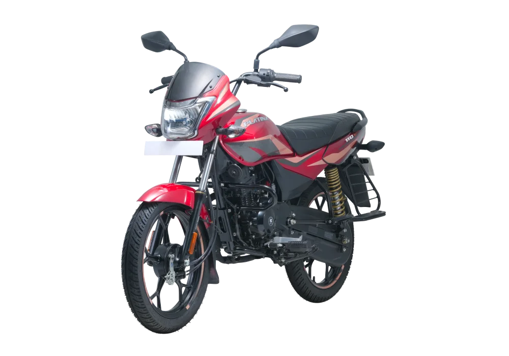 Bajaj Platina 110